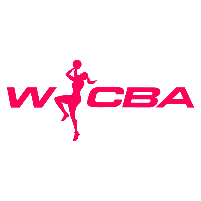 WCBA16进8决赛武汉盛帆黄鹤VS山西竹叶青酒20250228